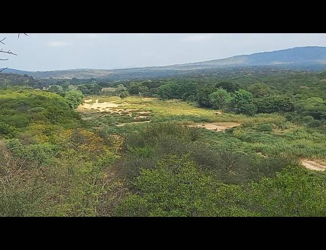 FARM FOR SALE IN MUSINA